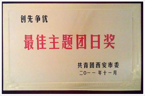 創(chuàng)先爭優(yōu) 主題團(tuán)日獎