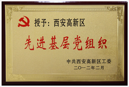 高新區(qū)先 進(jìn)基層黨組織